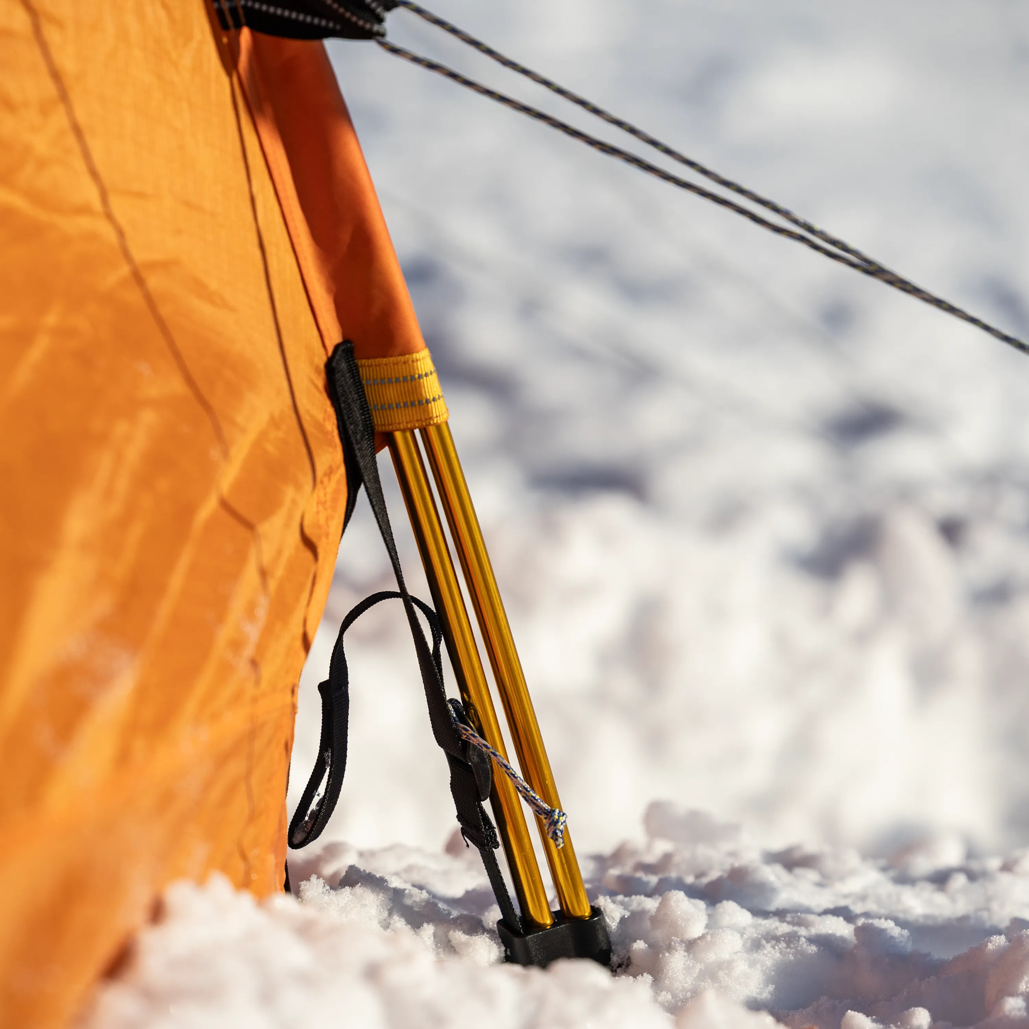 Polar Endurance 3 - Image 7