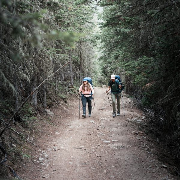 Abisko Hybrid Trail Trs W - Image 18