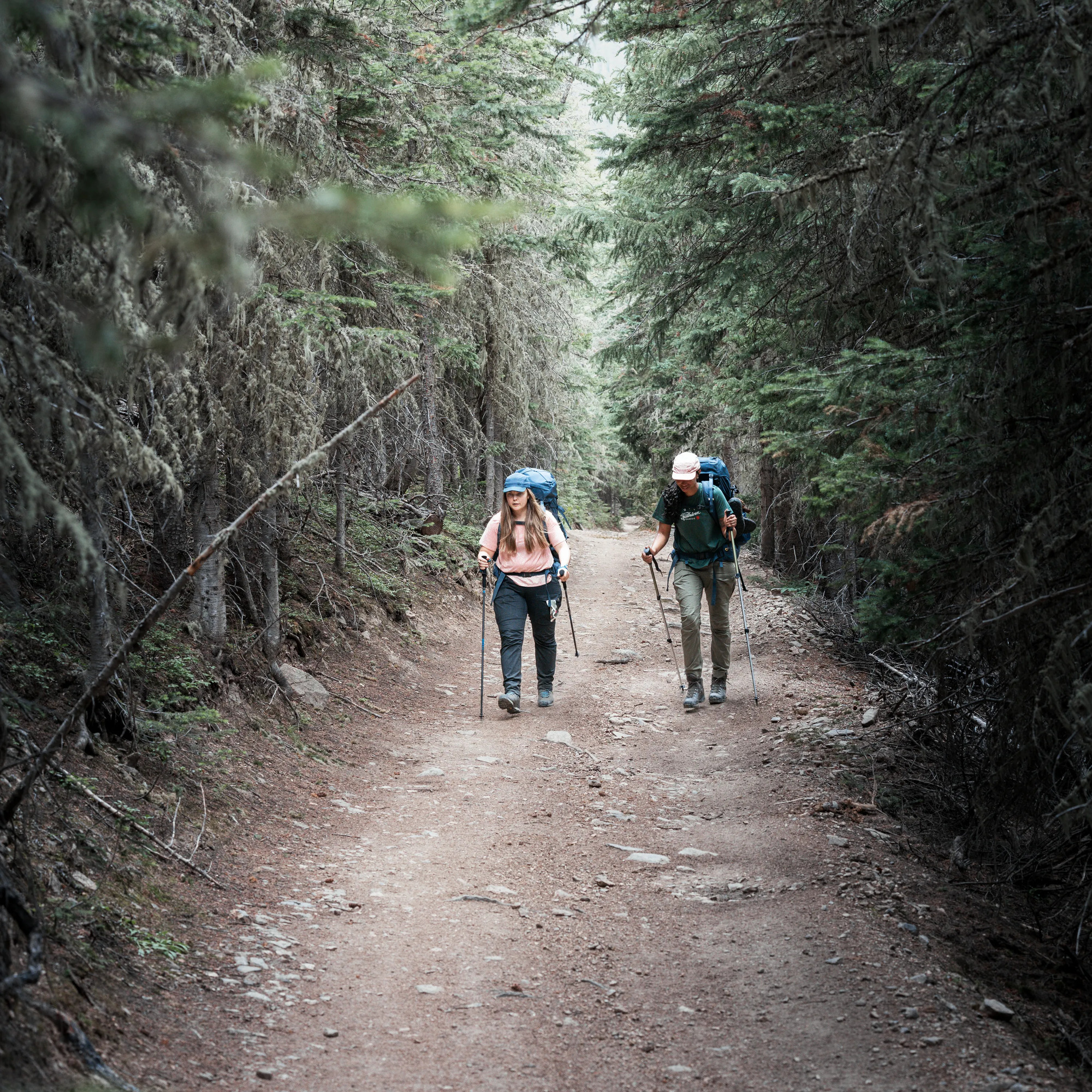 Abisko Hybrid Trail Trs W - Image 18