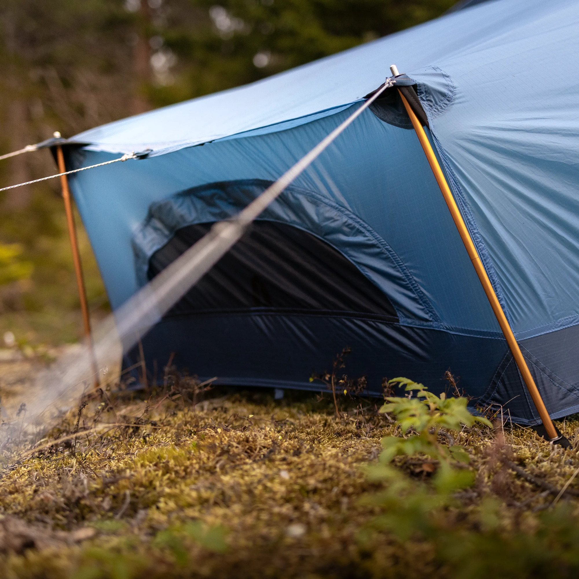 Abisko Lite 1 - Image 2